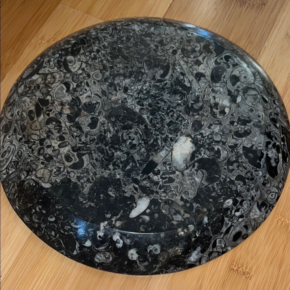 AMMONITE PLATE - Picture 6 of 10